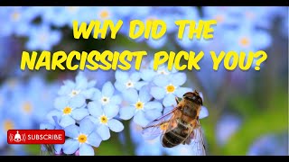 Why You Unraveling the Narcissists Choice [upl. by Tezzil]