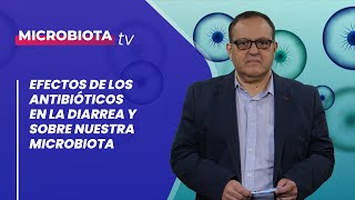 Antibióticos y diarrea efectos sobre la microbiota [upl. by Marlena]