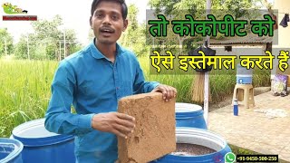 नर्सरी किस मीडिया में तैयार करें  कोको पिट कैसे इस्तेमाल करें  How to Use Coco Peat [upl. by Nodaj438]