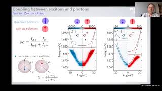 Real magnetic fields and artificial hamiltonians to control excitonpolariton spin  Barbara Piętka [upl. by Anaj]