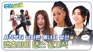 ENG Weekly Idol 시작부터 남다른 에너지 발산🔥 캣츠아이의 다짜고짜 댄스 신고식💃 l EP683 [upl. by Atilam]