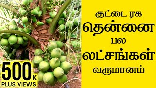 Thennai Maram Valarpu Tamil  தென்னையில் அதிக லாபம் பெற சிறந்த வழிகள்  Coconut Cultivation [upl. by Nyraa739]