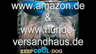 KEEP COOL DOGAudiobook for dogs [upl. by Eoj]