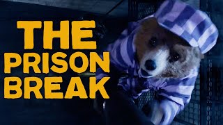 Paddington 2  Movie Review [upl. by Olonam]