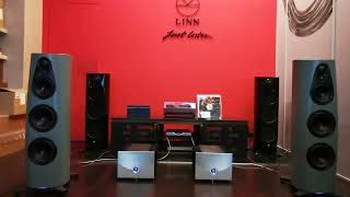 Linn Klimax Solo 800  Klimax 360 Loudspeakers [upl. by Roger]