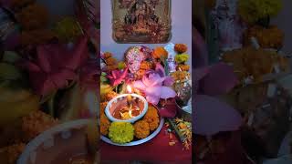 Laxmi Pooja 🪔🪔🪔🪔diwali shotrs youtubeshorts diwalispecial [upl. by Eenhpad]