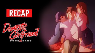 Domestic Girlfriend  ANIME RECAP  Domestic na Kanojo [upl. by Enitsenrae]