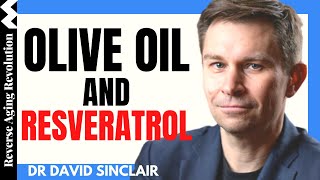 DAVID SINCLAIR “Olive Oil amp Resveratrol”  Dr David Sinclair Interview Clips [upl. by Burd]