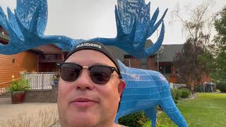 Blue Moose Bar amp Grill East Grand Forks Minnesota [upl. by Ingram]