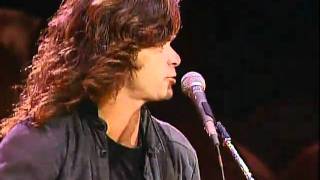 John Mellencamp  Small Town Live at Farm Aid 1987 [upl. by Ataynek]