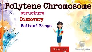 Polytene Chromosome Easy Notes on Polytene Chromosome Giant Chromosomes notes [upl. by Nefen]