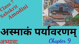 sanskrit amodini class 7 chapter 9 अभ्यास class 7 sanskrit amodini chapter 9 [upl. by Chloras]