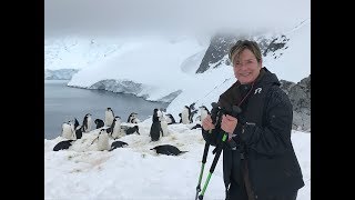 Is Hurtigruten the Right Antarctica Cruise For YOU [upl. by Beaumont870]