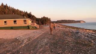 Anticosti Island Sepaq Anticosti Ste Marie 2 Cabin [upl. by Ayalat450]