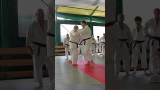 Ashi Guruma  Lezione Tecnica shorts judo [upl. by Lisab266]