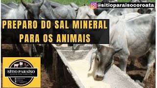 SAL MINERAL COMO FAZER  Aprenda de forma simples a preparar para ovinos e caprinos da fazenda [upl. by Esnohpla560]