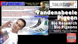 History of Gaby Vandenabeele Pigeon  Racing Pigeon Series ft BioResearch BioPigeons  TUKLASibonPH [upl. by Ottie]