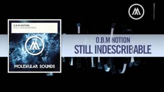 OBM Notion  Still Indescribable FULL Molekular Sounds [upl. by Nadeen]