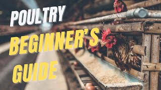 Poultry farming full guide for beginners  The FarmGuide Sn1 E2 [upl. by Ylesara39]