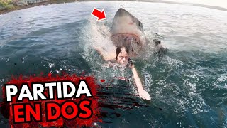 😱 ¡Estos 3 TIBURONES DECAPITARON a Nadadoras BRUTALMENTE DESPEDAZADAS [upl. by Ojibbob]