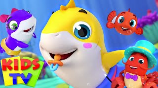 New Baby Shark Song  Mommy Shark  Five Little Sharks  More Nursery Rhymes amp Baby Songs  Kids Tv [upl. by Albertina]