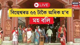 LIVE  Bilbeswar Devalaya  ইতিহাস প্ৰসিদ্ধ বিল্বেশ্বৰত ৫৫ টাকৈ অধিক হব ম’হ বলি  N18L [upl. by Eeloj]