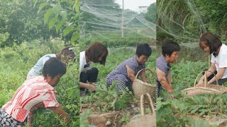 手工糖炒栗子，香甜軟糯，帶妳品味秋的醇厚滋味乡村烹饪 乡村 乡村生活 food 美食 [upl. by Aletta]