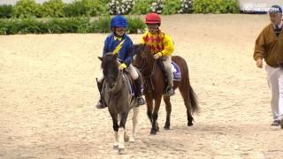 Shetland Pony Race [upl. by Briny]