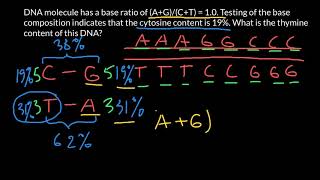 How to find DNA composition Chargaffs rule [upl. by Yedorb]