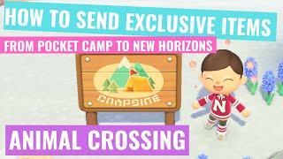 How to Send Exclusive Items from Animal Crossing Pocket Camp to New Horizons [upl. by Maurilla595]