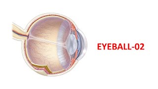 Middle vascular coat of eyeball নিয়ে বাংলায় আলোচনা। অধ্যাপক ডাঃ মোঃ আশফাকুর রহমান [upl. by Jaquelin]