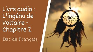 Livre audio Lingénu de Voltaire chapitre 2 [upl. by Ecinrahs]