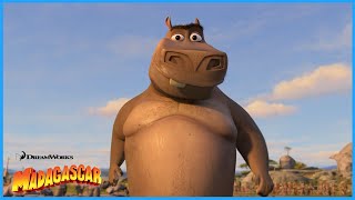 I Think Moto Moto Likes You  DreamWorks Madagascar  Extended Preview [upl. by Asseram]