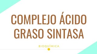 🆕COMPLEJO ÁCIDO GRASO SINTASA Bio Lip EXTRA👁️  Explicación enzimas dominios  Lípidos [upl. by Shelden]