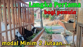 Cara ternak kambing pemula modal kecilkandangkakulinfarm [upl. by Isla]