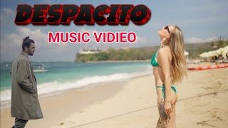 Despacito Music Video Hindi By NIC GANER [upl. by Tiras863]