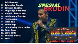 BRODIN 2023 FULL ALBUM HITSNEW PALLAPA NO IKLAN [upl. by Sundin]