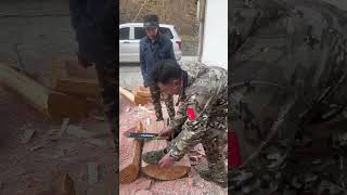 Beekeeping is good but safety comes firstchainsaws hardwaretoolsviralvideo foryou [upl. by Kerekes]