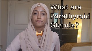 What are Parathyroid Glands [upl. by Libbey]