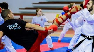 WKF Karate Kumite Techniques Training Training harder than anyone else crosses the line [upl. by Namialus61]