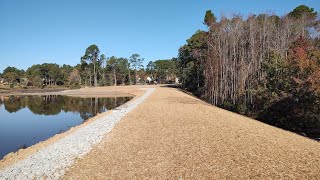 Dressing Up Seeding And Strawing The 9 Acre Pond Dam [upl. by Hacceber]