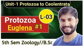 Protozoa L03Euglena Viridis1Habit HabitatampStructure5th Sem Zoo Unit1BSc WorldAmar Singh [upl. by Lindblad]