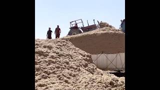 First time Sugarcane Bagasse Loding in Heavy Truck  Eipc technology [upl. by Lipps189]