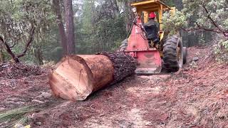 Huge Log Tests Limits of Farmi 501 Tractor Winch  Small Scale Logging for Woodmizer LT15 Sawmill [upl. by Repmek262]