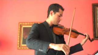 Beethoven Symphony No 9 3rd movement violin excerpt [upl. by Craven]