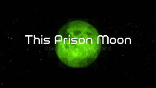 Gary Numans This Prison Moon My Cover Version [upl. by Courtland]