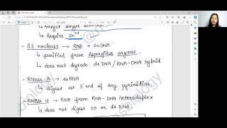 Class 1 Recombinant DNA Technology Enzymes [upl. by Acalia585]