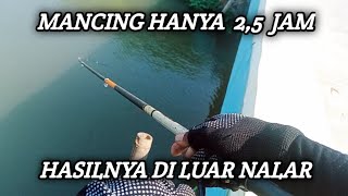 Mancing Hanya 25 Jam Hasilnya Diluar Nalar mancing fishing mancingmania [upl. by Llyrpa]