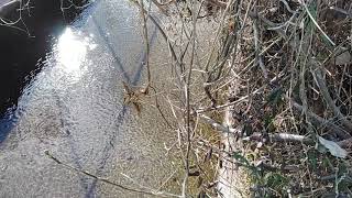 Clean Waterways in Toyota City Japan [upl. by Etireuqram]