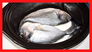 😋 Imagina La Mejor DORADA A LA SAL en Slow Cooker 🐟 Receta de PESCADO en Olla de Cocción Lenta [upl. by Judson70]